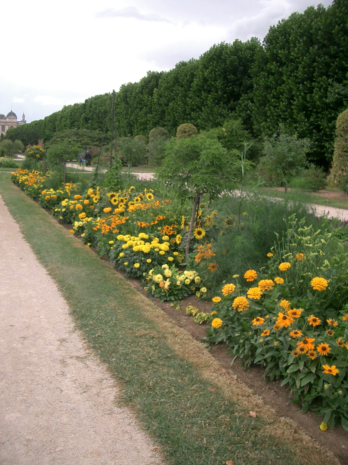 世界の花とみどり フランス パリ植物園 09 7 7