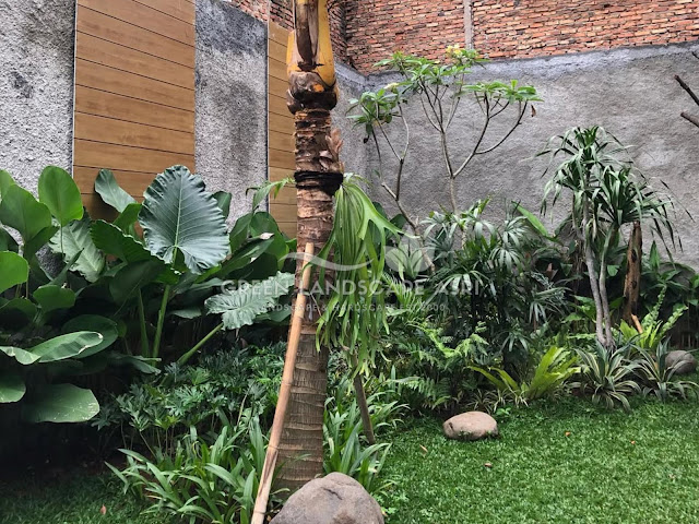 Jasa Pembuatan Taman Bojonegoro - Tukang Taman Rumah Profesional Jasa Pembuatan Taman Bojonegoro - Tukang Taman Rumah Profesional