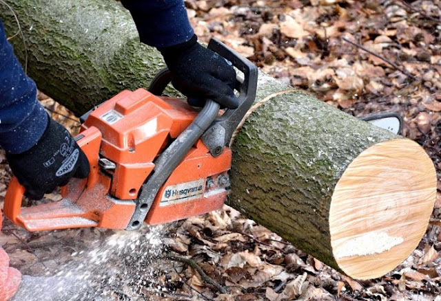 tree felling services