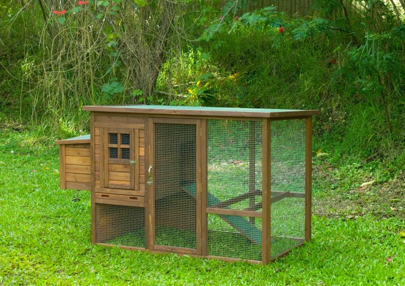 Chicken House Plans: Backyard Chicken Coop