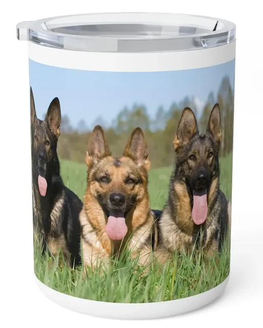 Insulated Stainless Steel Coffee Mug With Three Giant Working Line German Shepherds Lying on The Grass Leaving Tongues Out