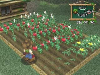 Download dan Mainkan Harvest Moon: a Wonderful Life (PS2) di PC