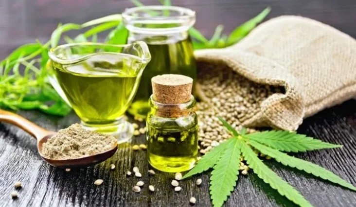 Cannabis medicinal, uma cura para todos os males de saúde