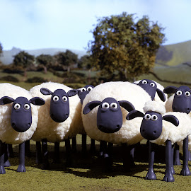 Shaun the Sheep wallpapers