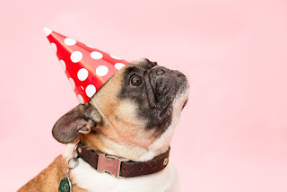 How To Treat a Dog Bite