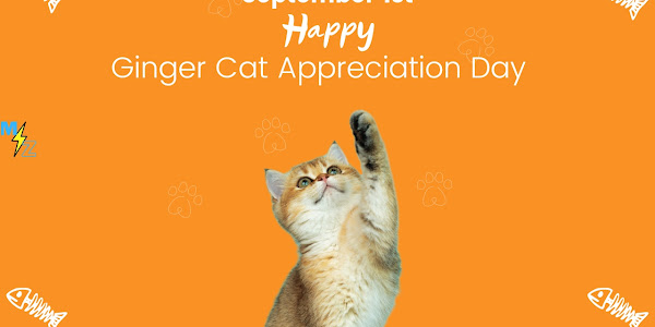 Ginger Cat Appreciation Day 2022: History, Significance and Facts 