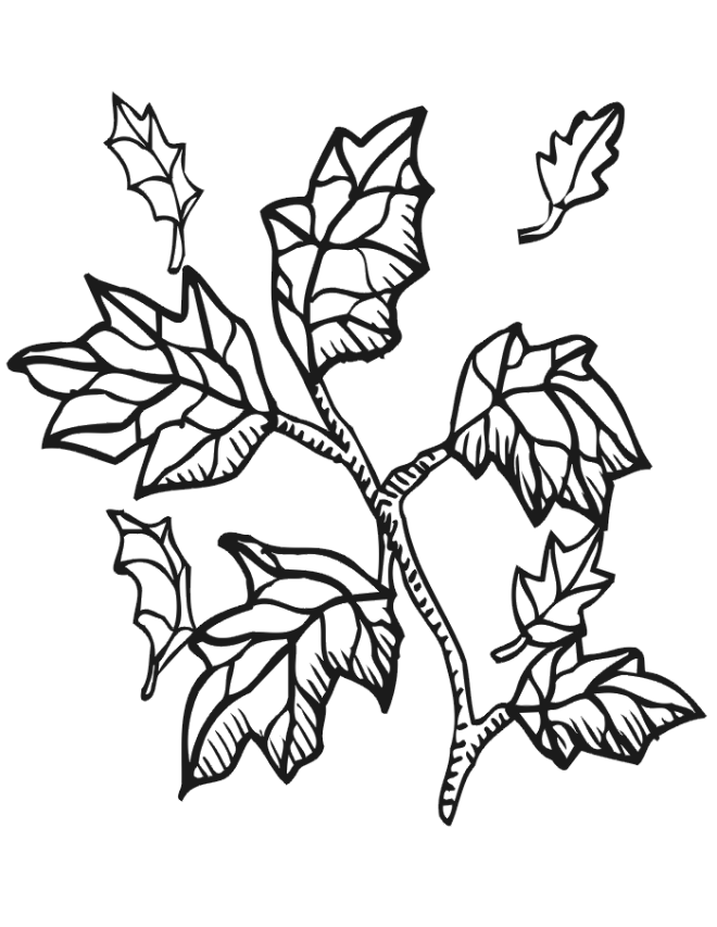 kids coloring pages