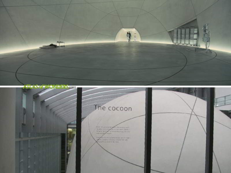 Cocoon Natural History Museum London