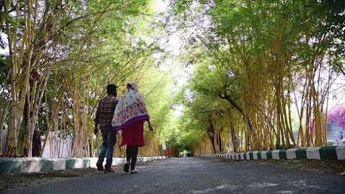 bamboo garden images amravati