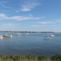 View album