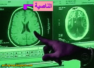 حقائق علمية Scientific facts