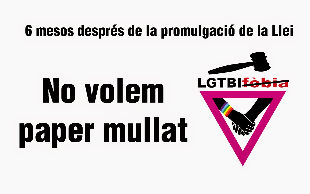 6 MESOS LLEI CONTRA HOMOFÒBIA