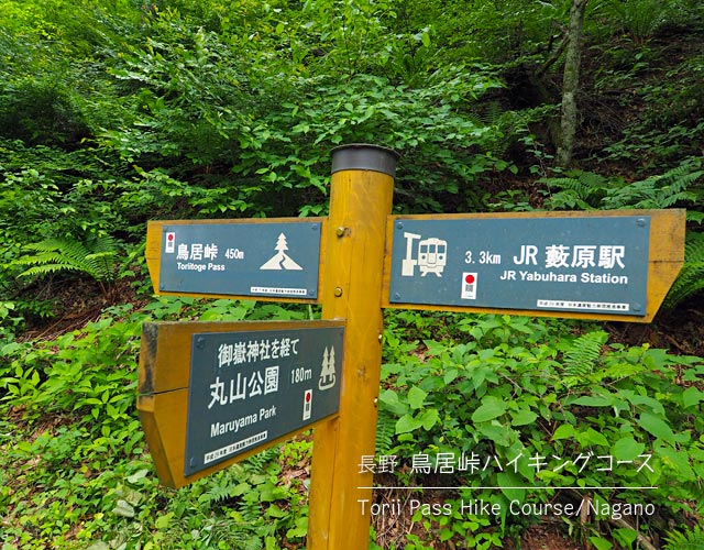 鳥居峠ハイキングコースの道票