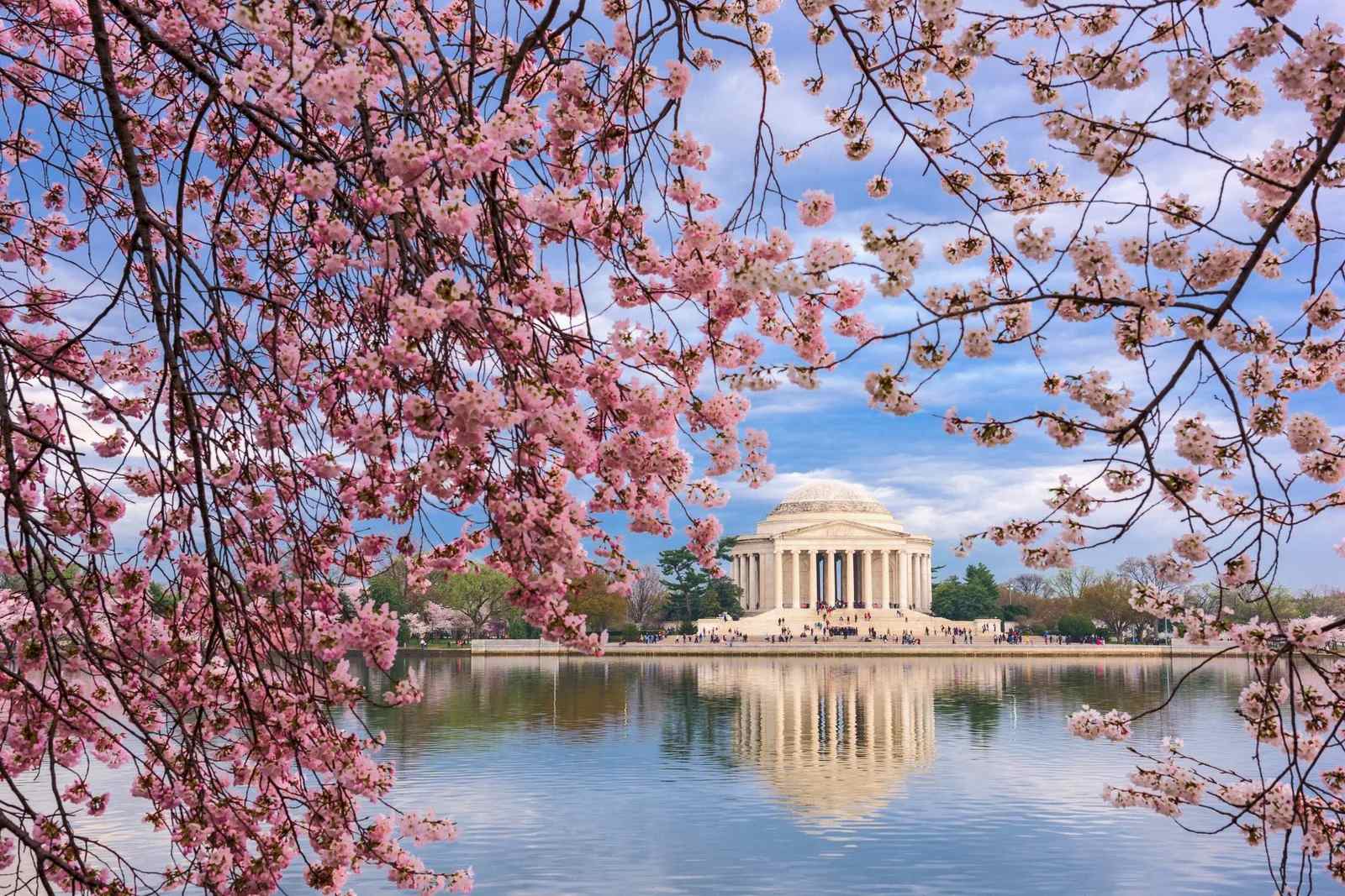 The leaked D.C. United cherry blossom jerseys finally give fans