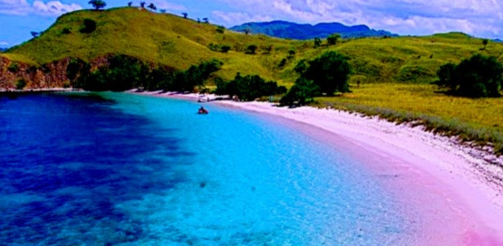 pantai pink pulau komodo