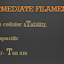 Cytoskeletal Elements - Intermediate Filaments