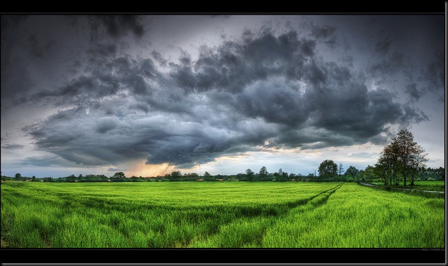 li__by_realitydream-d2pbc2q
