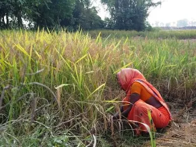 शादी के नाम पर बिकती लड़कियां