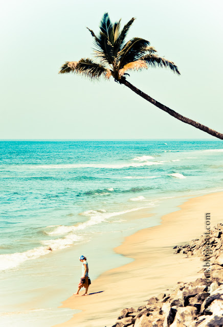 Варкала Керала Индия океан пальмы прогулка наслаждение | Varkala Kerala India ocean palm-trees walk enjoy