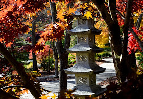 Japanese Maples Festival, Gibbs Gardens
