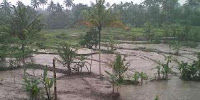 Banjir Genangi Dua Desa di Magetan