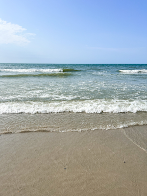 Things to Do in Isle of Palms