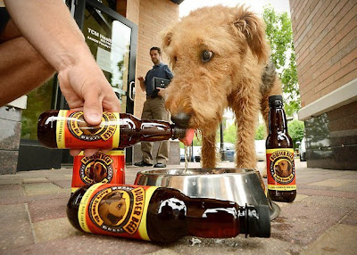 Cerveza para perros - Bowser Beer for Dogs