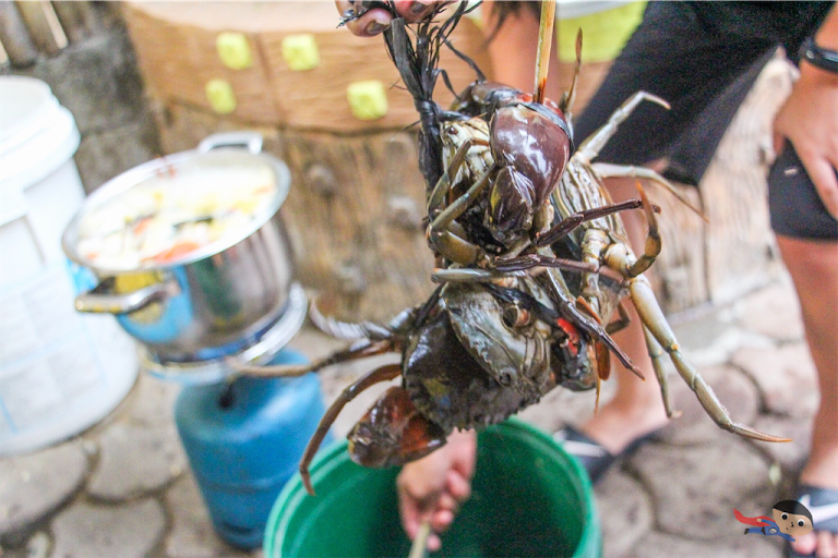 Fresh crab about to be cooked