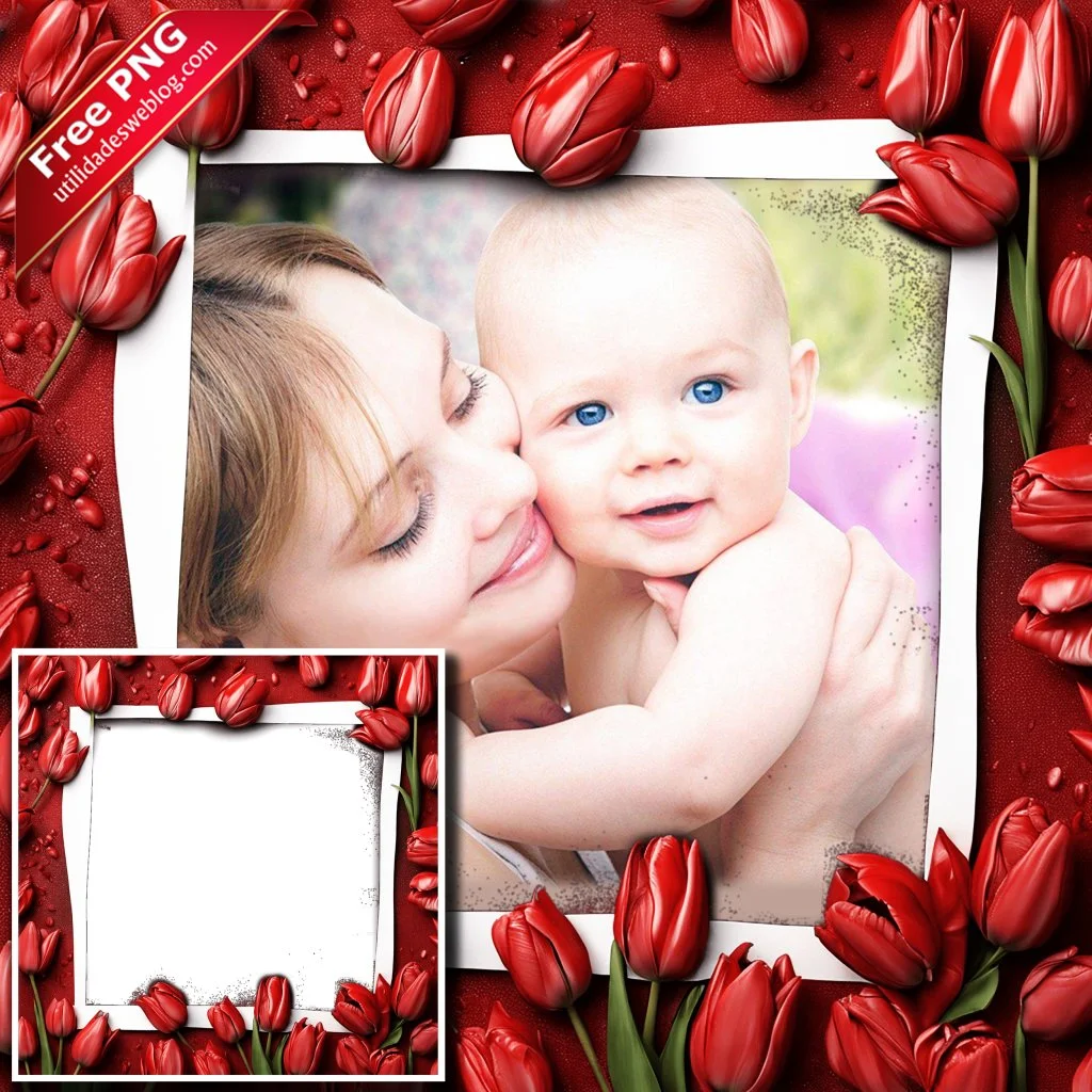 marco para fotos con flores de tulipanes rojos en png con fondo transparente para descargar gratis