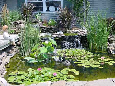 water gardens