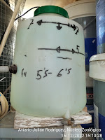 Deposito intermedio de agua con pH correcto 5'5