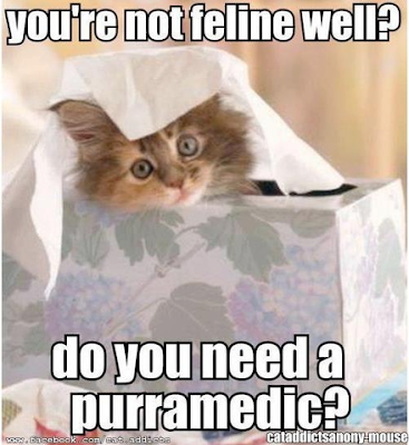 You're not feline well? Do you need a purramedic?