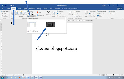 Cara Mudah Screenshot di Ms Word 2016