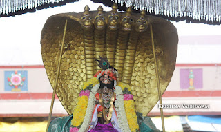 Sri Krishna Jayanthi, Kutty, Kannan, Purappadu,2016, Video, Divya Prabhandam,Sri Parthasarathy Perumal, Triplicane,Thiruvallikeni,Utsavam,