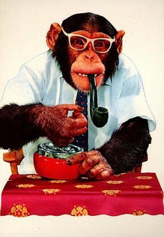 Monkey Addicted to Cigarette Seen On www.coolpicturegallery.us