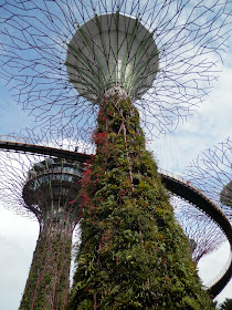 visite de Gardens by the Bay Singapour