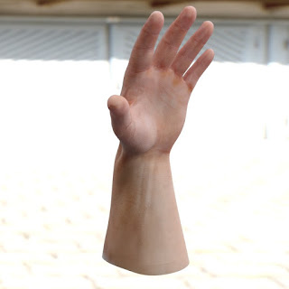 3d model male hand