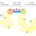 DNA to RNA : RNA Splicing