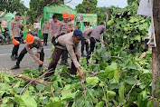 Pohon Tumbang Tutup Jalan Poros Bajoe, Tim SAR Brimob Bone Beraksi