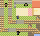 Pokemon Untitled Unova Game screenshot 12