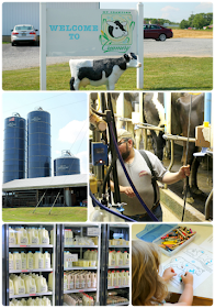 Stop by Mt. Crawford Creamery near Harrisonburg to watch the daily cow milking & talk to the dairy farmers. #BlueRidgeBucket #Trekarooing