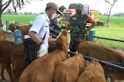 Disnakan Larang Hewan Ternak Dari Luar Daerah Masuk Ke Bojonegoro