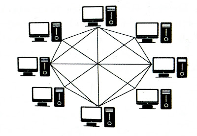 Mesh Topology