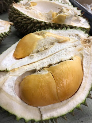 Musim Durian 2019 di Pulau Pinang