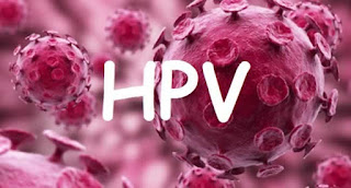 CAMPANHA DE VACINAÇÃO CONTRA O VÍRUS HPV  