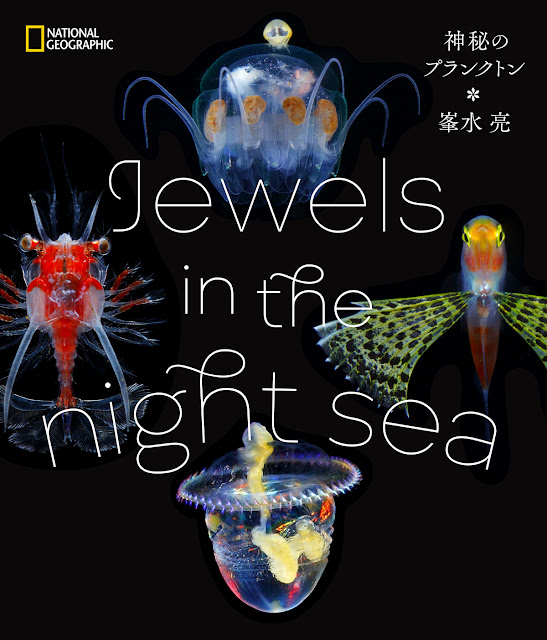 峯水亮写真集 Jewels in the night sea  神秘のプランクトン