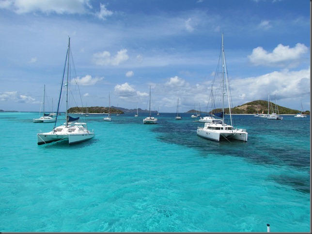 tobago cays rob 113