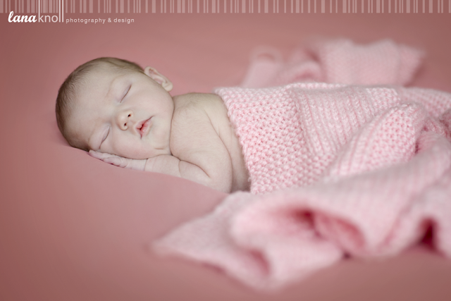 Kingston Newborn Photography