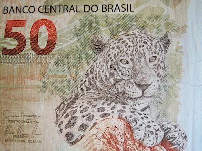 Brazilian Bank Note Fifty Real Note Banknote