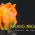 Good Night Greetings in English HD Wallpapers Top English Good Night Messages SMS Wishes Whatsapp Pictures Free Download
